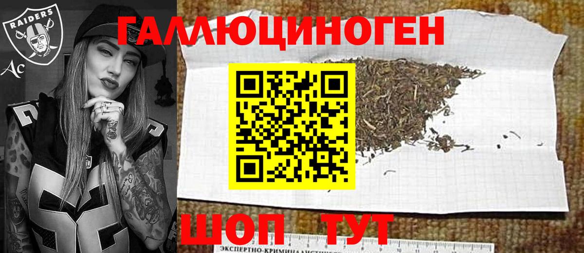 хочу наркоту  Вход с VPN  Галлюциногенные грибы MAGIC MUSHROOMS  Калининград  Галлюциногенные грибы Psilocybine cubensis 